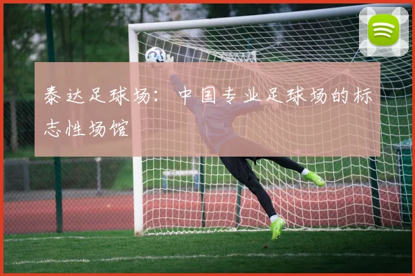 泰达足球场：中国专业足球场的标志性场馆